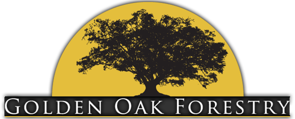 Golden Oak Forestry Service